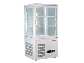 VITRINA EXPOSITORA VIVES-5 HC